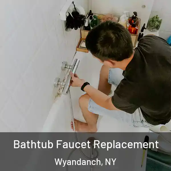  Bathtub Faucet Replacement Wyandanch, NY