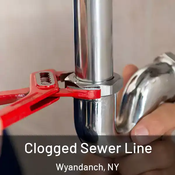  Clogged Sewer Line Wyandanch, NY