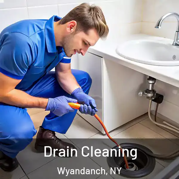  Drain Cleaning Wyandanch, NY