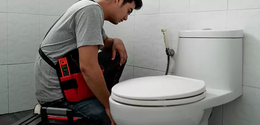 Toilet Repair in Wyandanch