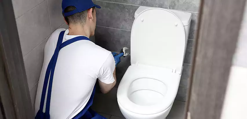 Toilet Lid Replacement in Wyandanch