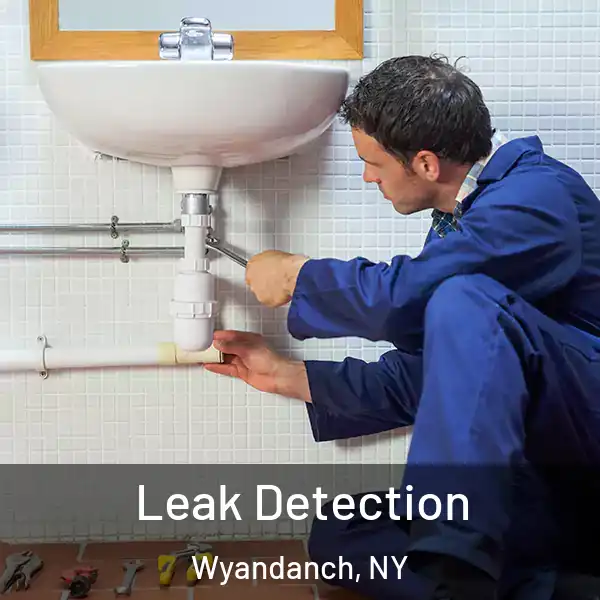  Leak Detection Wyandanch, NY