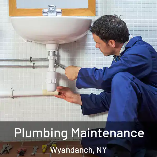 Plumbing Maintenance Wyandanch, NY