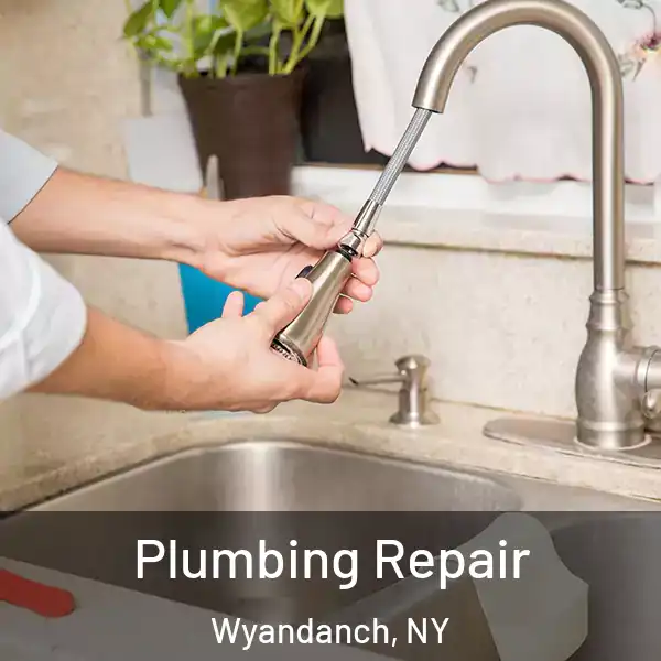  Plumbing Repair Wyandanch, NY