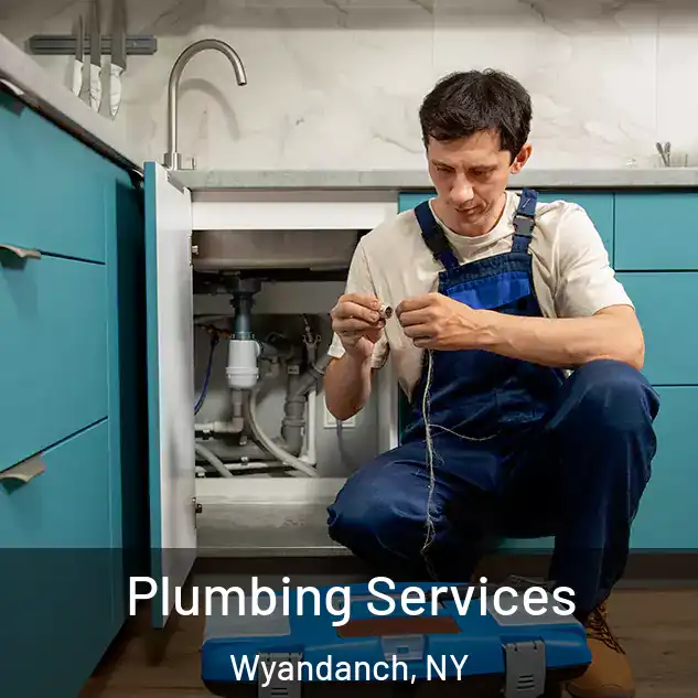  Plumbing Services Wyandanch, NY