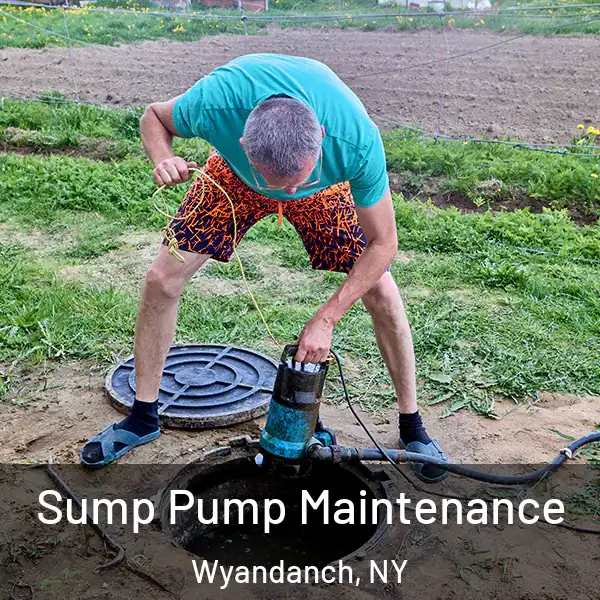  Sump Pump Maintenance Wyandanch, NY