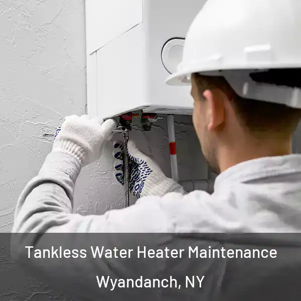  Tankless Water Heater Maintenance Wyandanch, NY