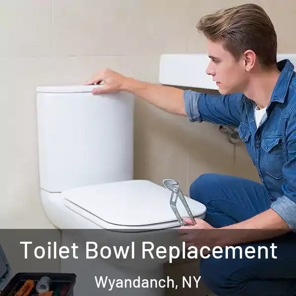  Toilet Bowl Replacement Wyandanch, NY