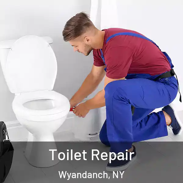 Toilet Repair Wyandanch, NY