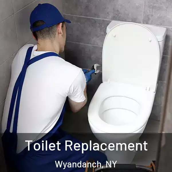 Toilet Replacement Wyandanch, NY