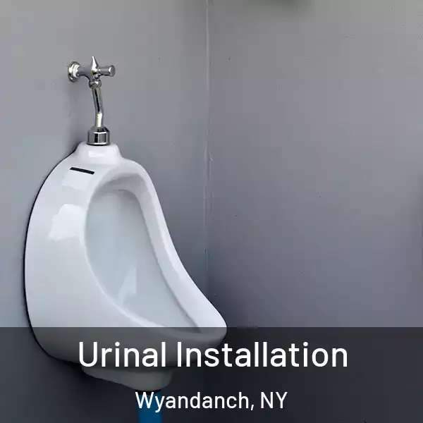 Urinal Installation Wyandanch, NY