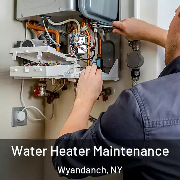  Water Heater Maintenance Wyandanch, NY