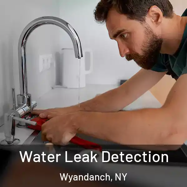  Water Leak Detection Wyandanch, NY